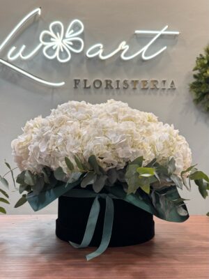 Hortensias & Eucalipto